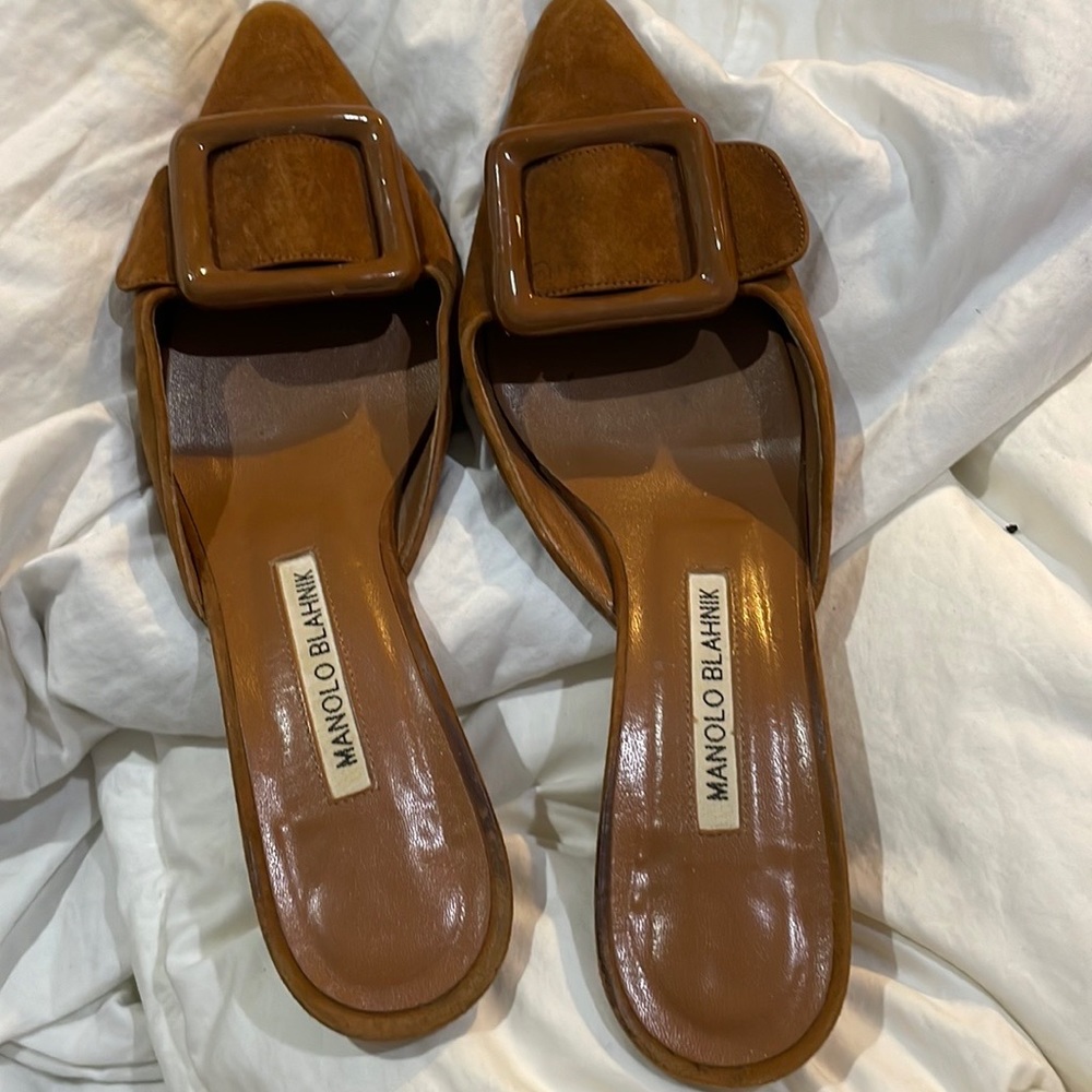 Maysale mule